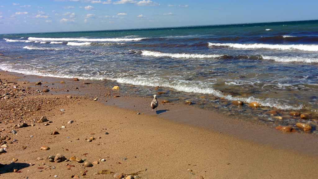 Burlingame State Park, Charlestown