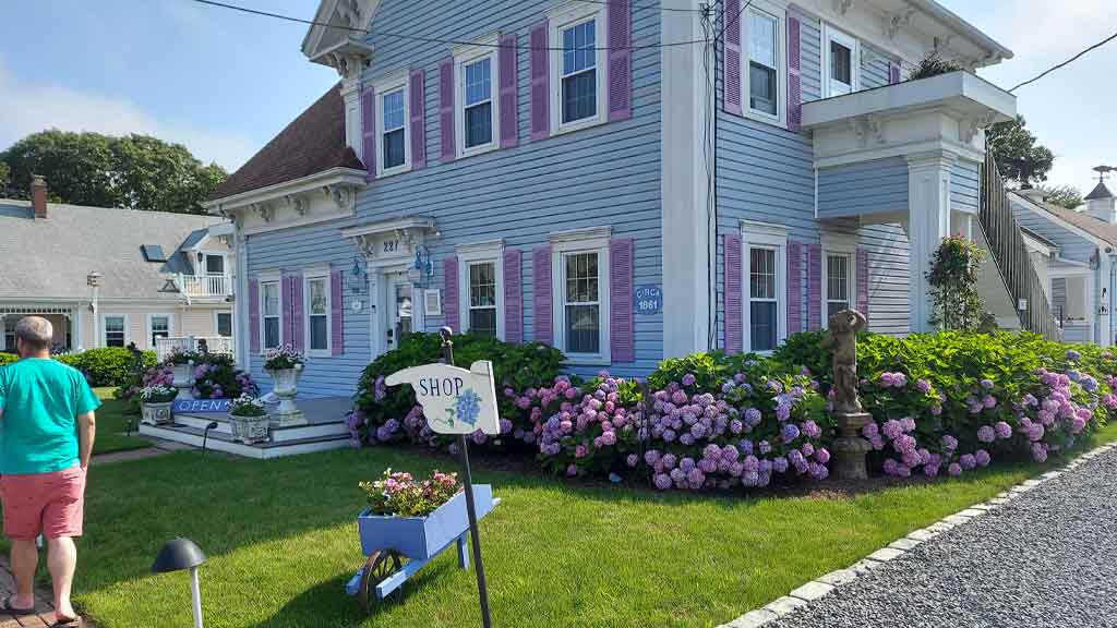 Cape Cod Hydrangea Festival