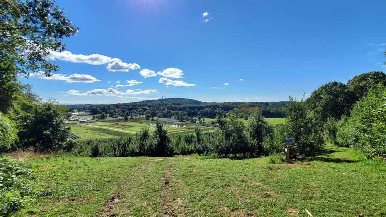 Best Apple Orchards in Massachusetts: 15 Must-Visit Apple Picking ...