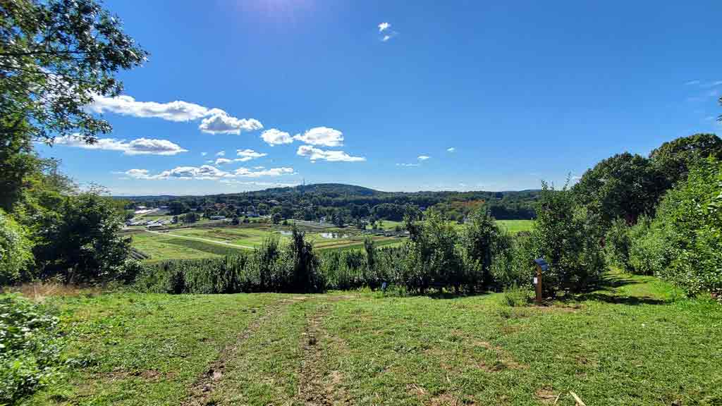 Cider Hill Farm (Amesbury)