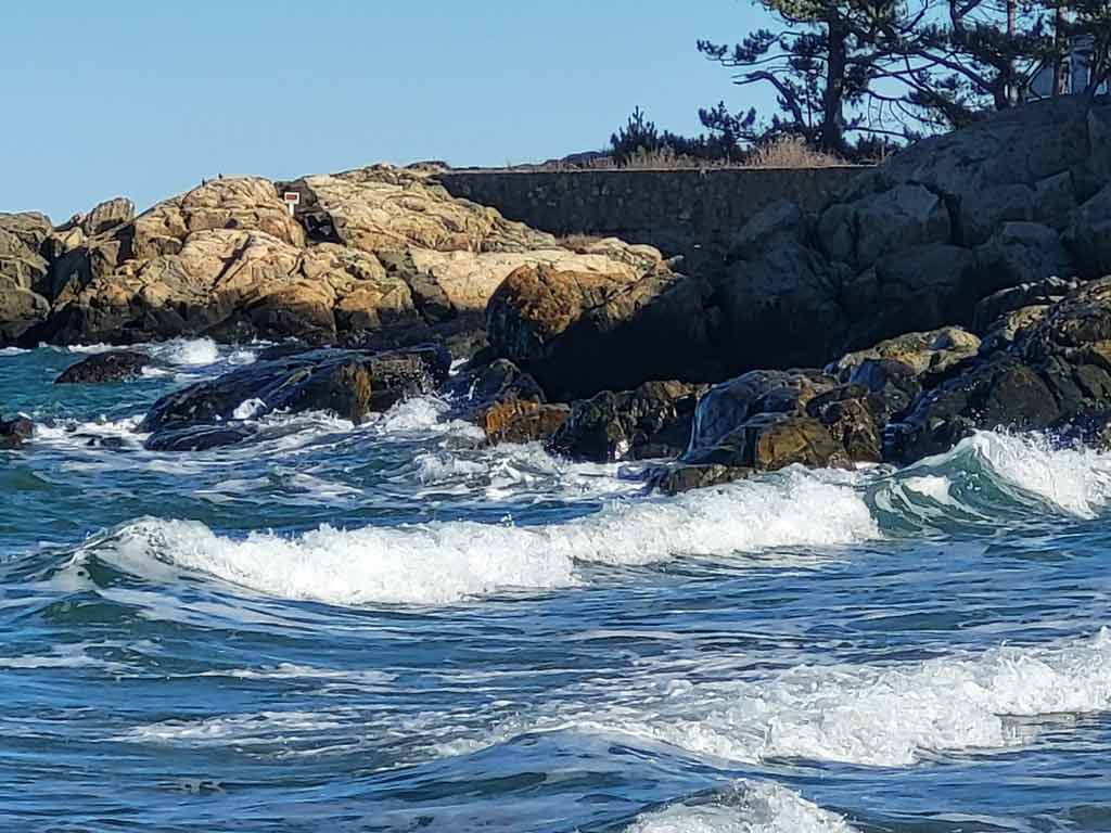 The Best Places to Go Clamming near Boston