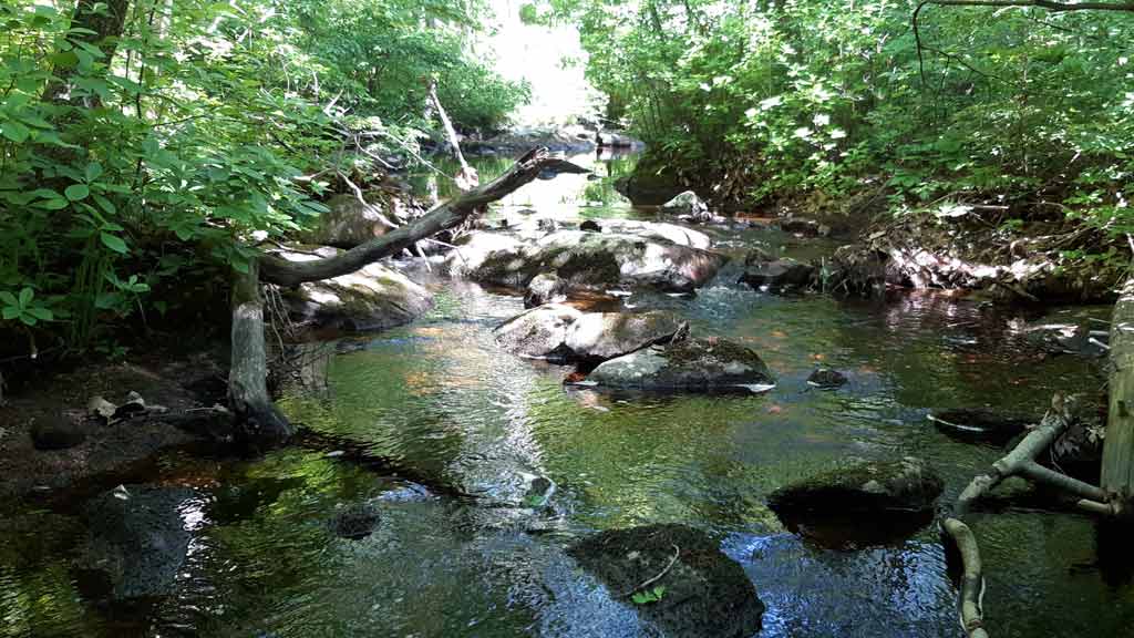 George B. Parker Woodland Wildlife Refuge