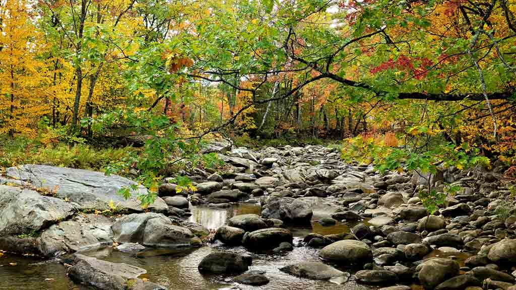  Grafton Notch State Park, Maine