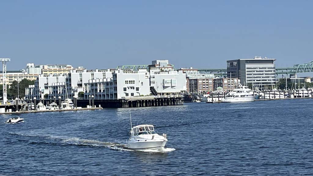 Harbor Cruises