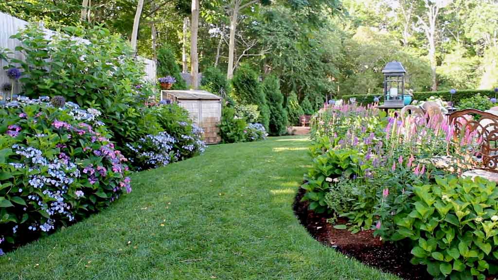 Hydrangea Festival In Cape Cod