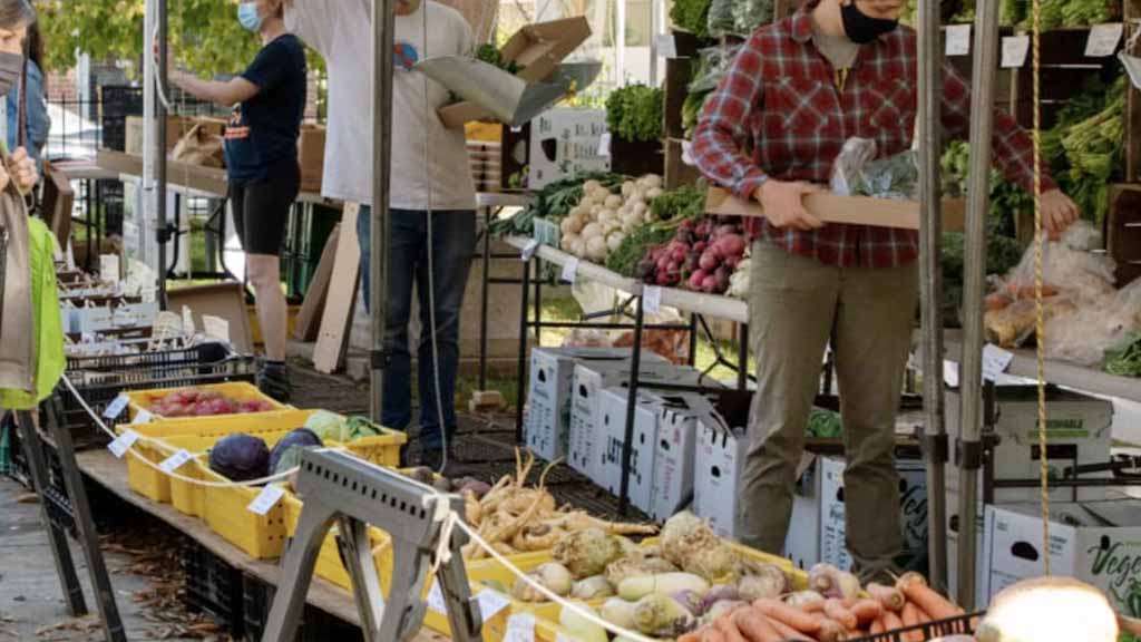 Local Markets and Food Joints