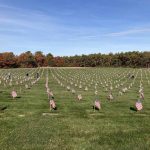 Memorial Day Observance at Massachusetts National Cemetery