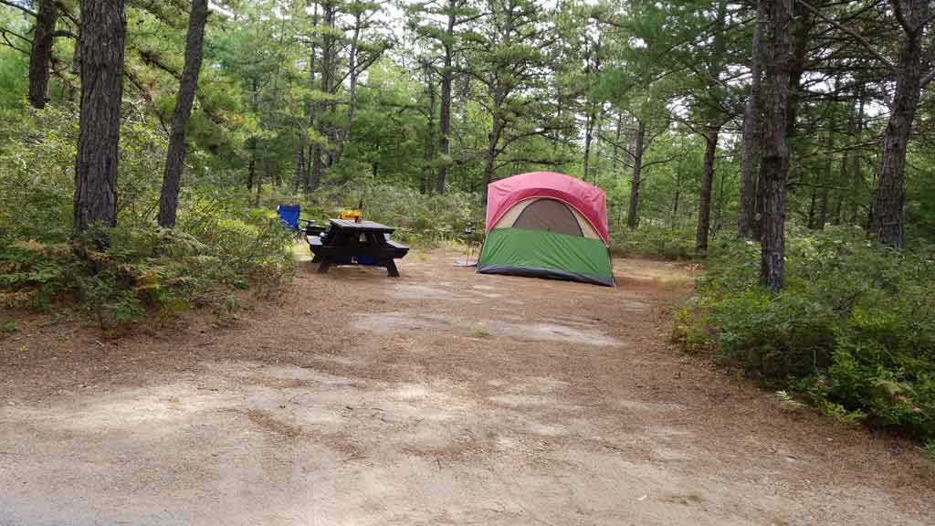 Myles Standish State Forest, Carver