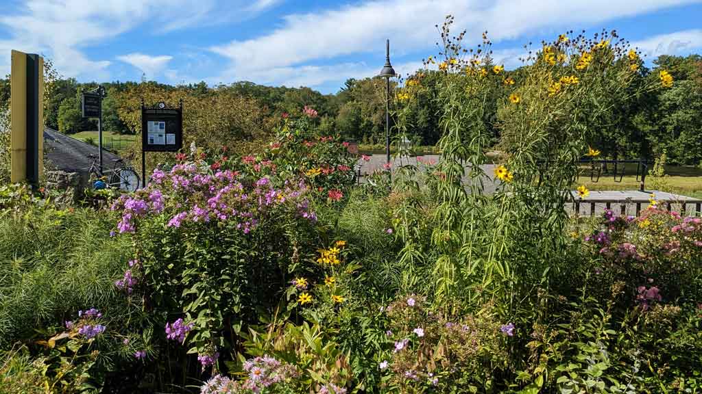 Smith College Botanic Garden in Northampton 