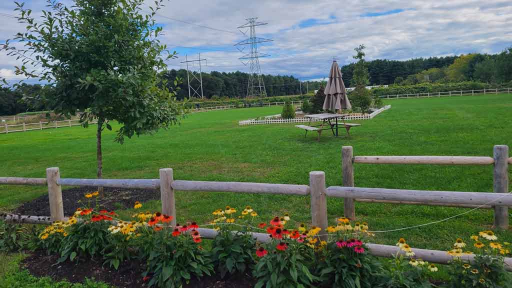 Ward's Berry Farm (Sharon)