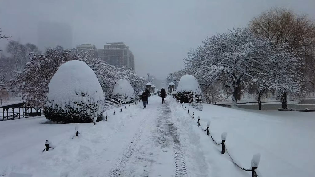 winter boston public garden