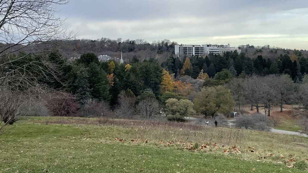 Arnold Arboretum