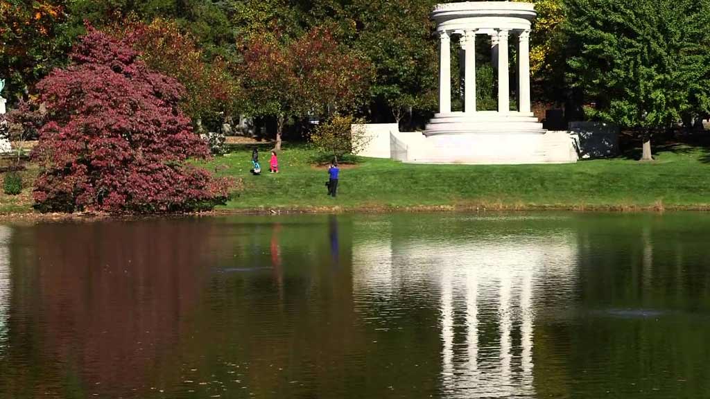 Beauty Bloomed at Mount Auburn Cemetery