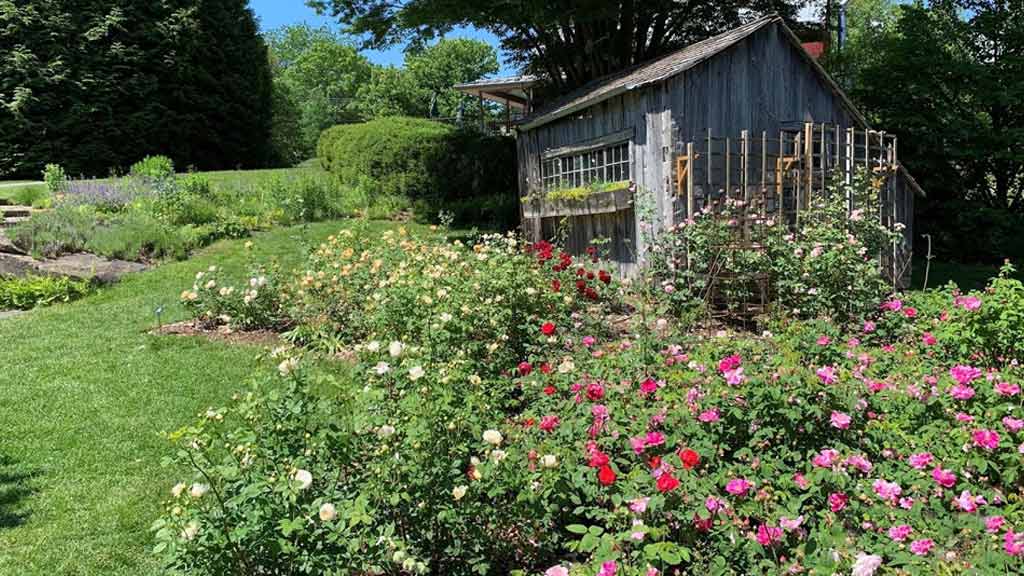 Berkshire Botanical Garden