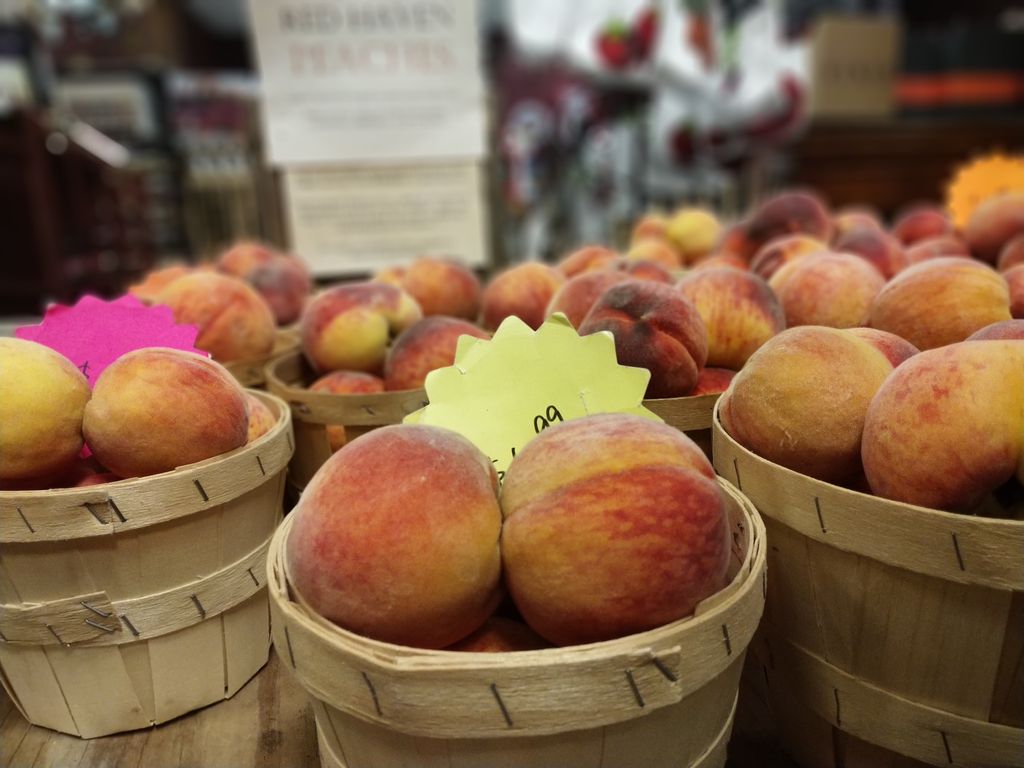 Blue-Goose-Fruit-Market-Bakery-1