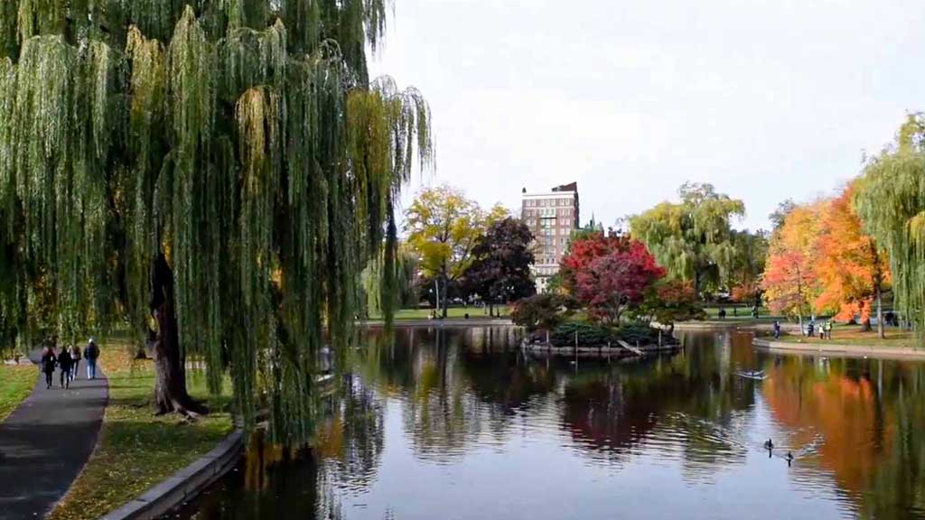 Boston Public Garden