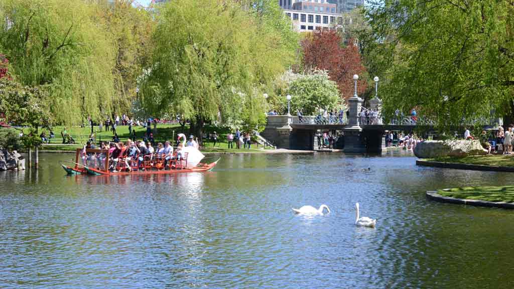 Boston Public Garden