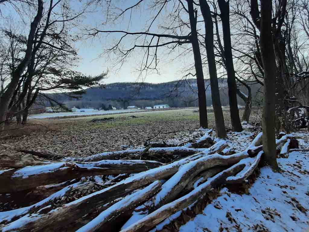 Brickyard Brook Conservation Area - East Green St. Entrance