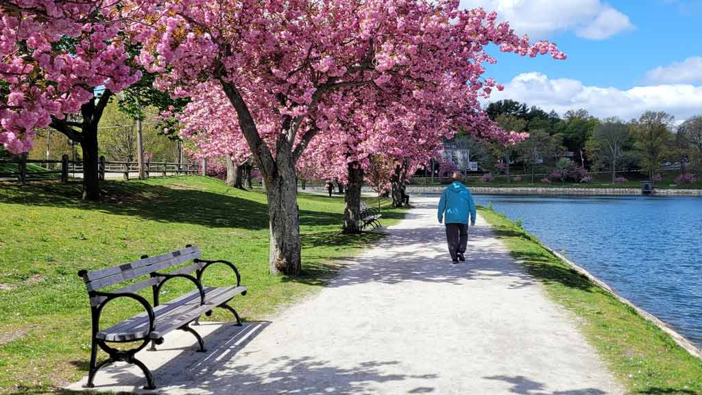 Brookline Reservoir Park