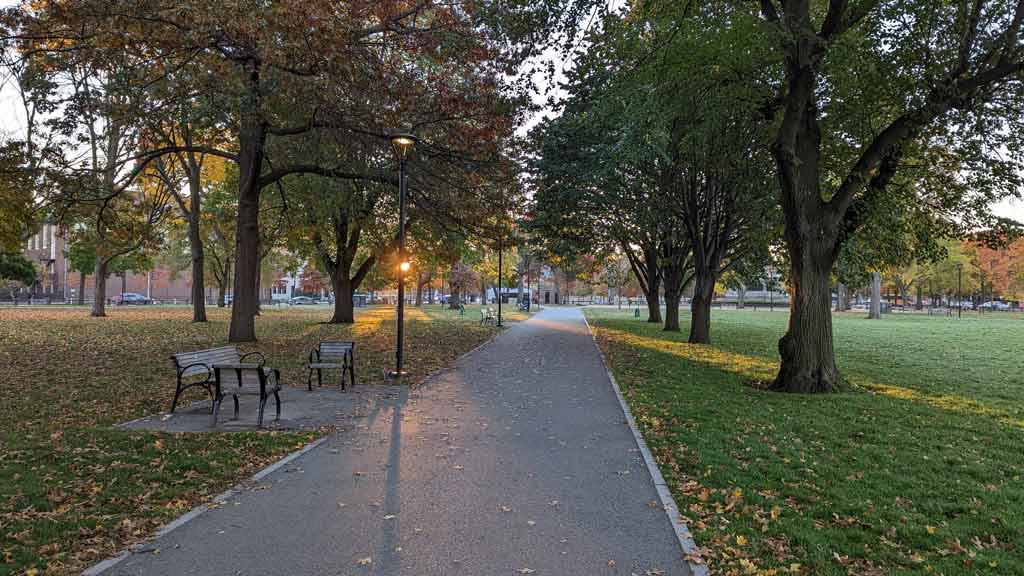 The Lush Retreat at Cambridge Common Park