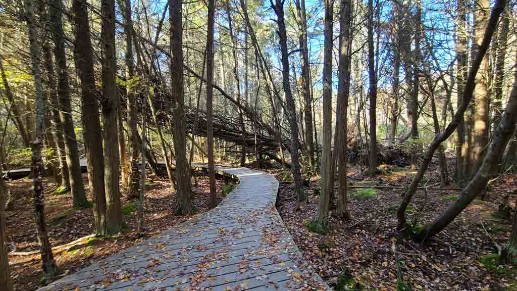 Cape Cod National Seashore Trails