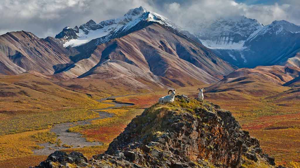 Denali National Park, Alaska, USA