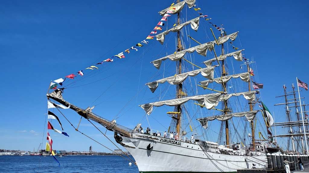 Immigration and Tall Ships