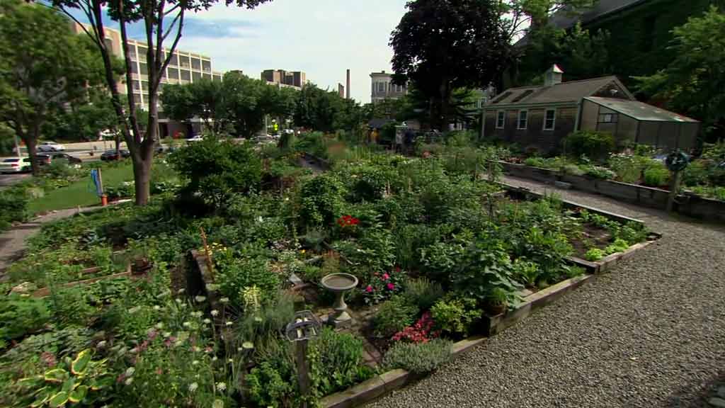 Innovation at the Sullivan Square Community Garden