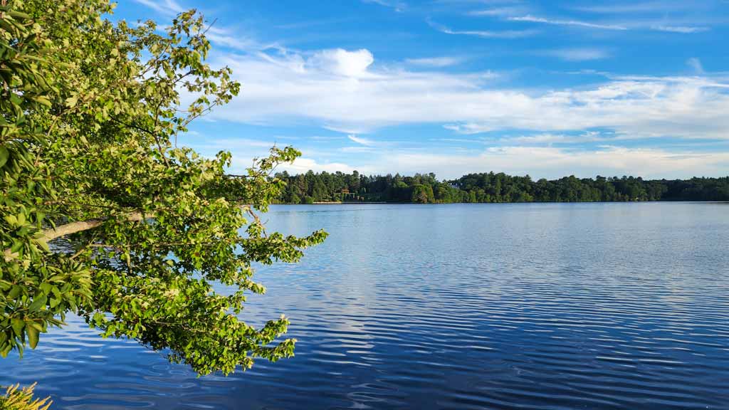 Lake Waban