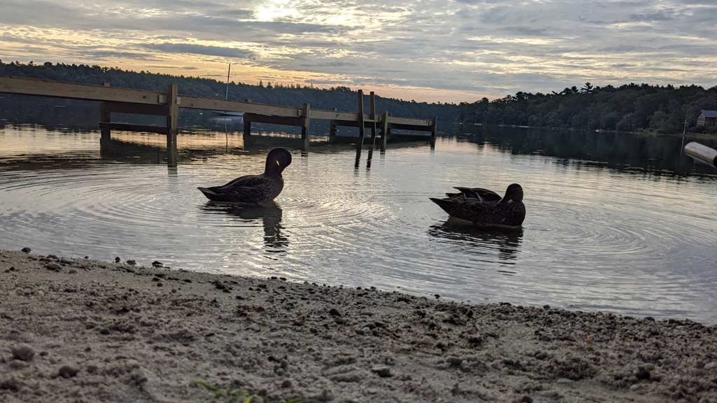 Long Pond (Plymouth)