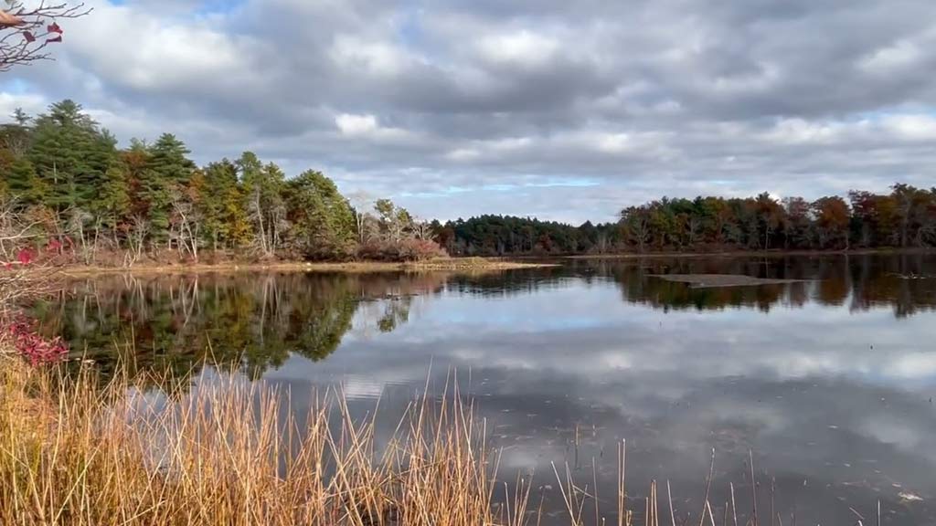 Muddy Pond, Groton