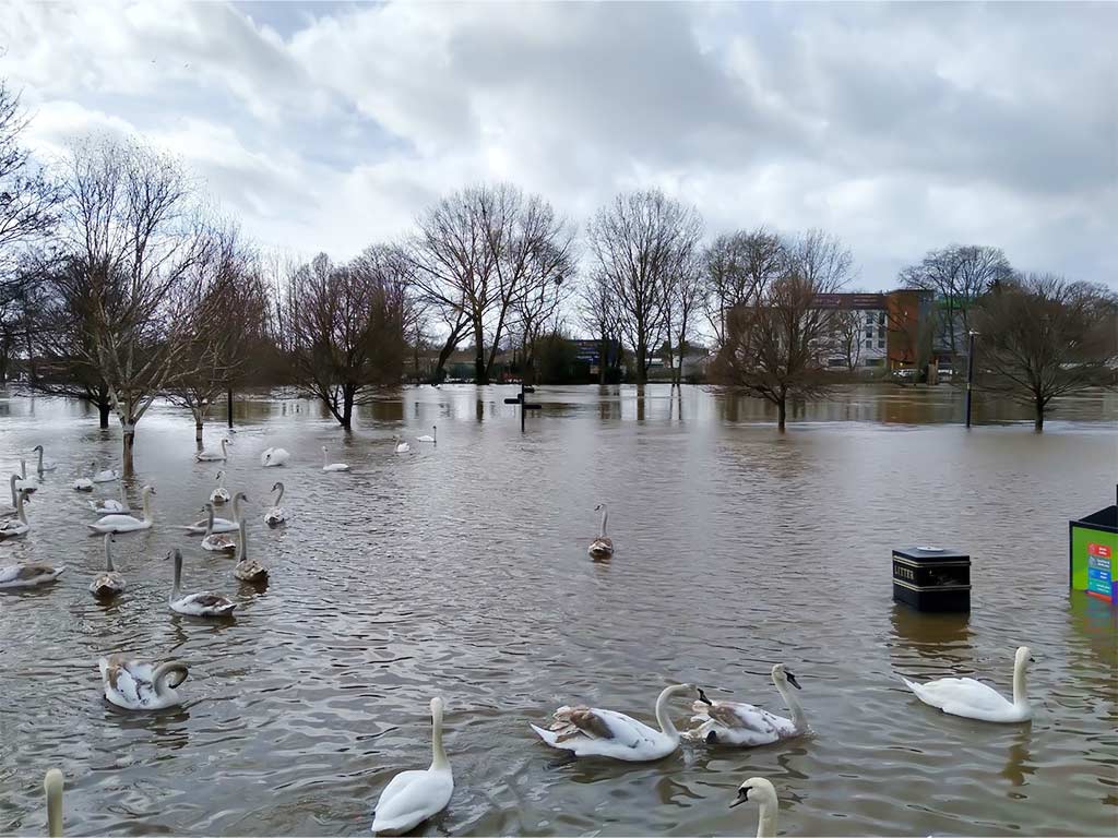 Notable Floods in Recent Decades