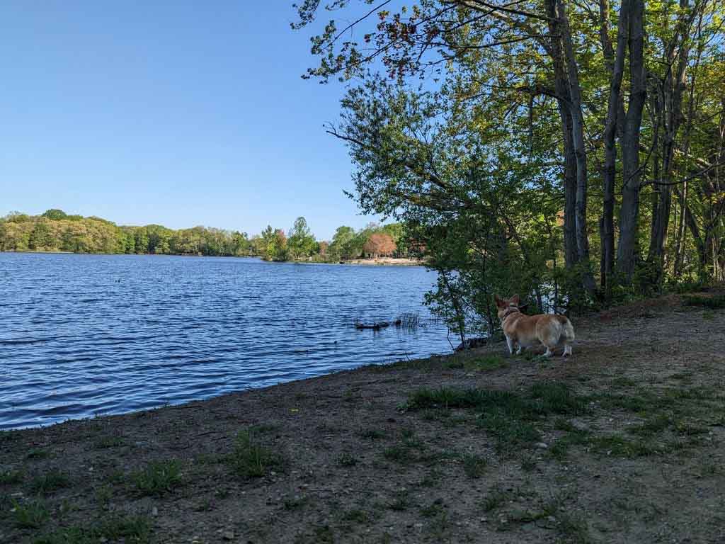 Reservoir Beach