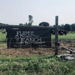 Rubee-Ranch-Farm-Stand