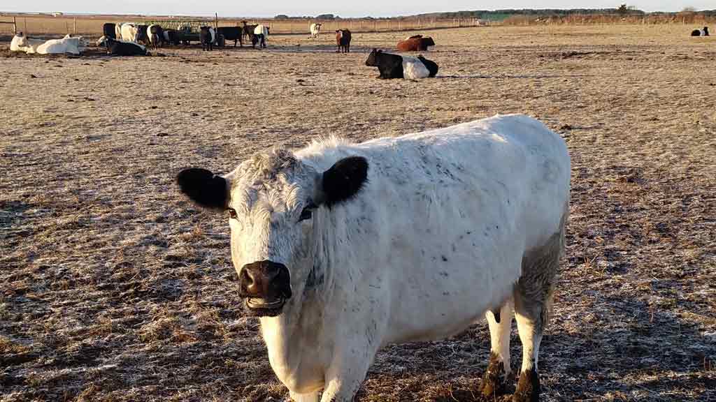 Reservations' Farm Institute on Martha's Vineyard 