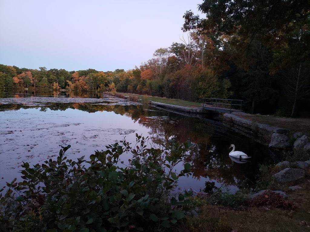 Thirty-Acre-Pond-DW-Park