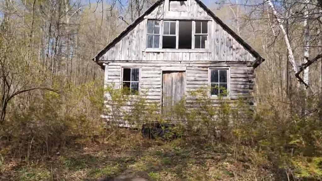 Vermont Maple Grove Cabin