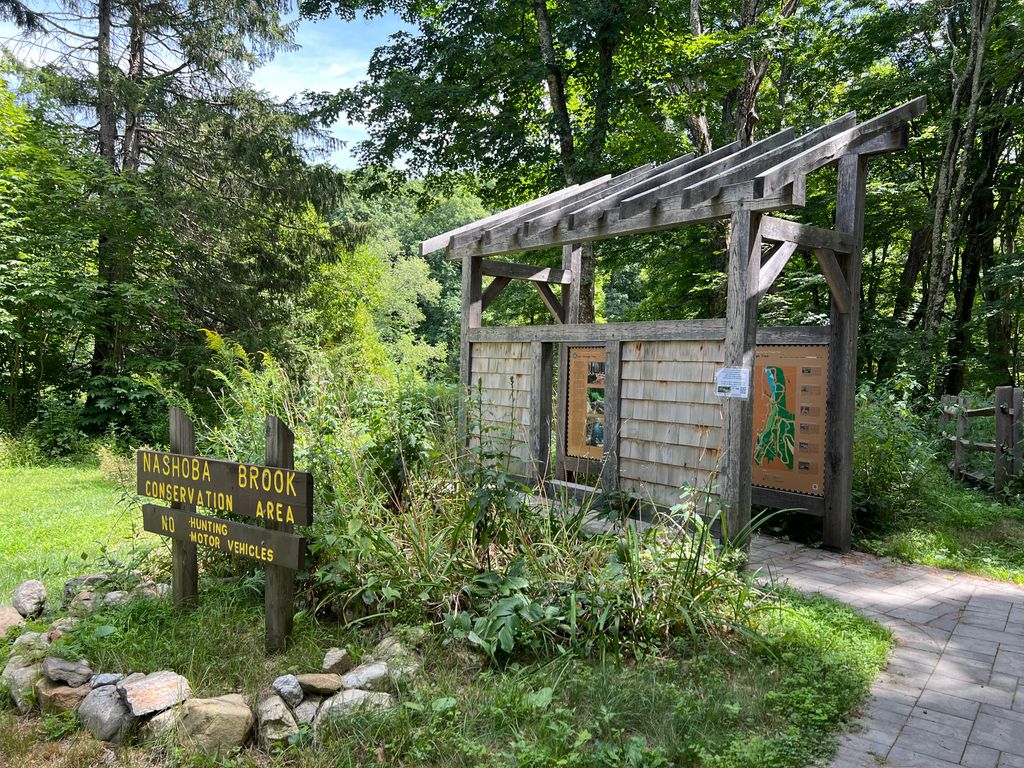 Yellow-Trail-at-Nashoba-Brook-parking