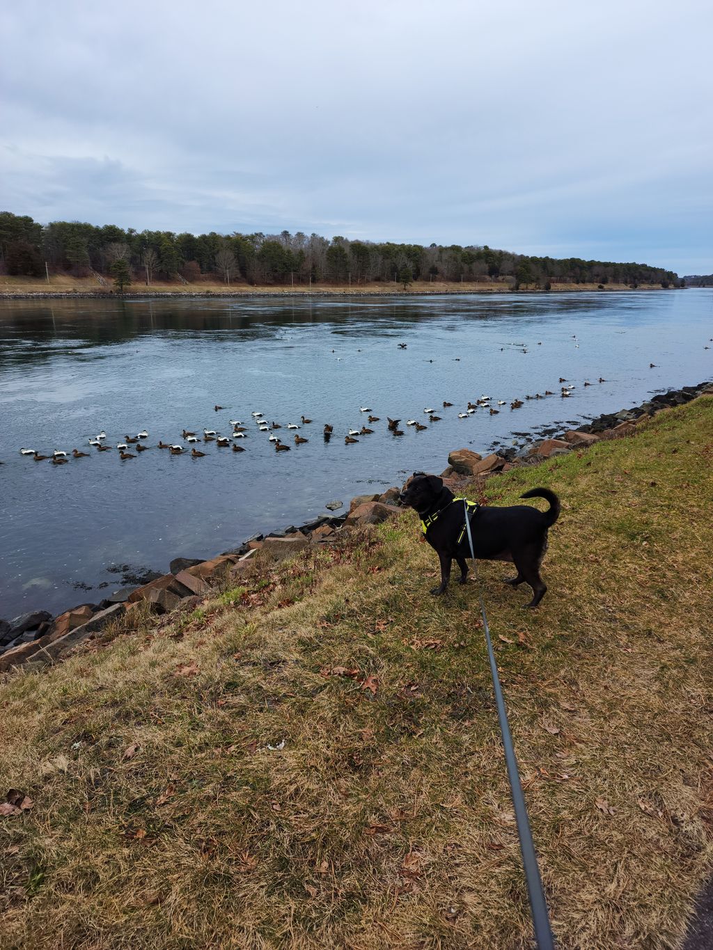 Bourne-Recreation-Area-Cape-Cod-Canal-1