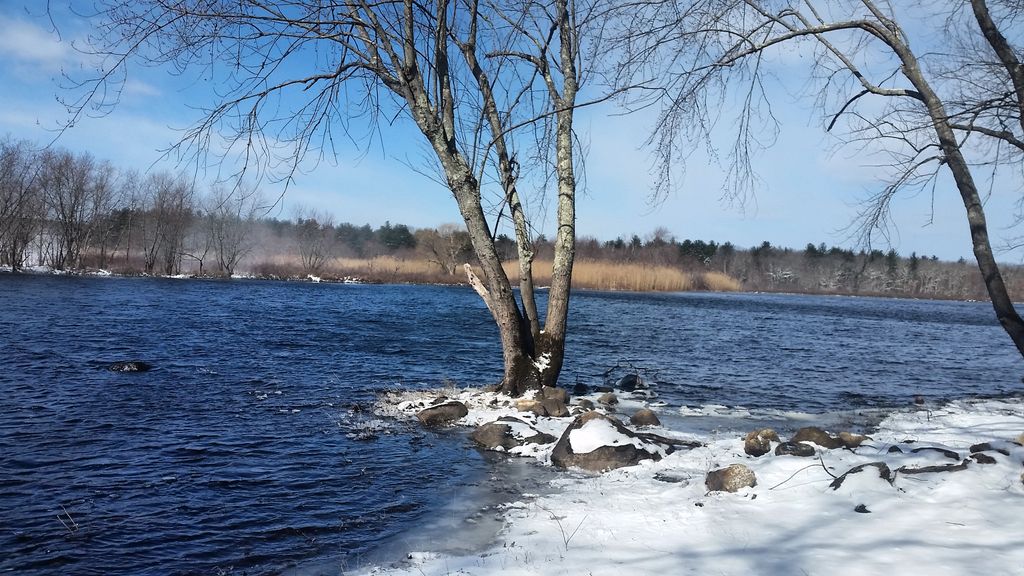 Great-Meadows-Wildlife-Refuge-Billerica-1