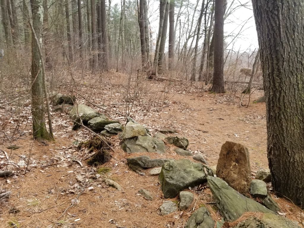 Great-Meadows-Wildlife-Refuge-Billerica