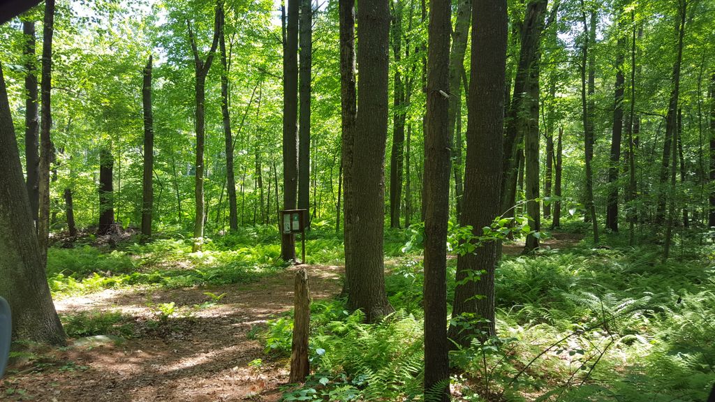 Heath-Hen-Meadow-Brook-Woodland-Hiking-Trail-1