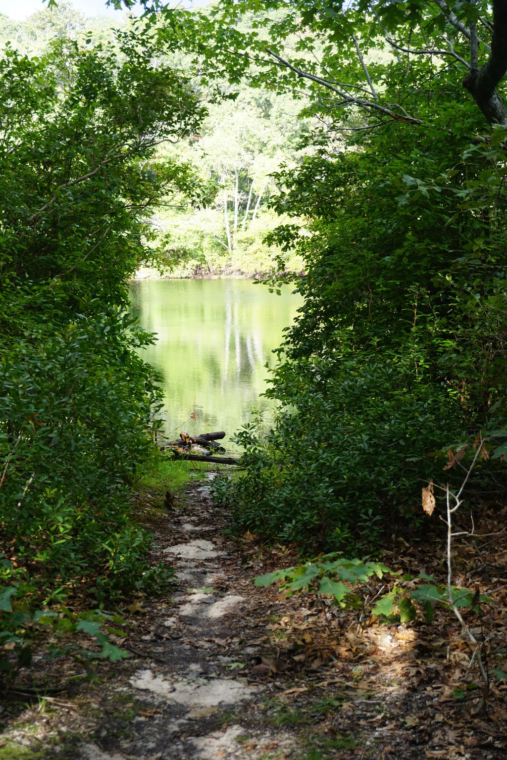 No-Bottom-Pond-Trail-1
