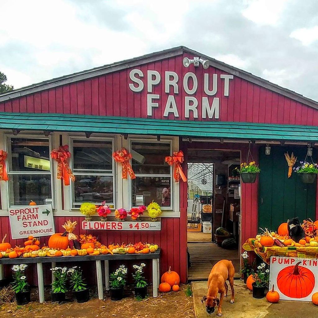 Sprout-Farm-Stand