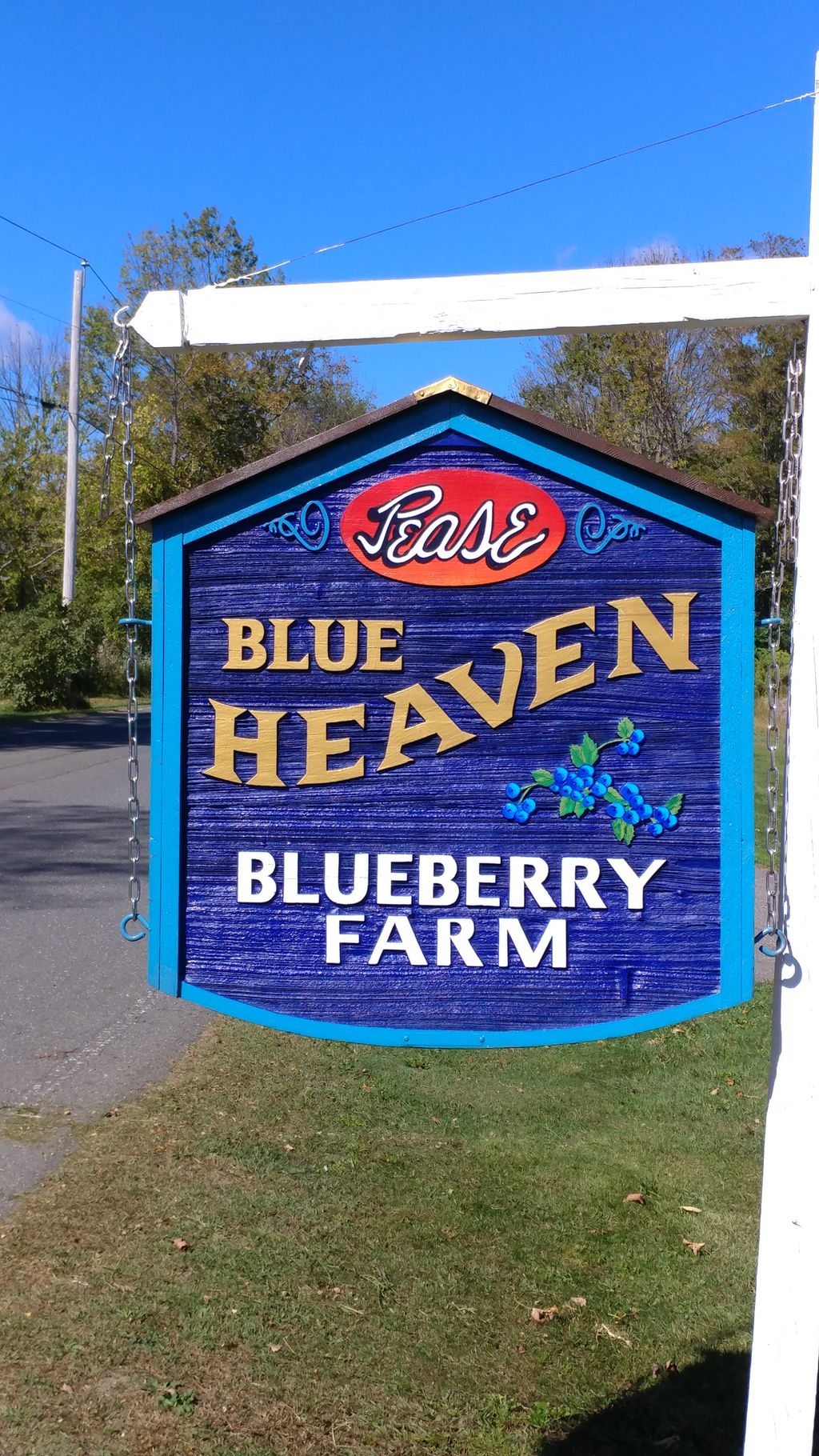 Blue-Heaven-Blueberries-Raspberries