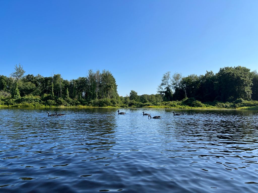 Boating-in-Boston-at-Nahanton-Park-1