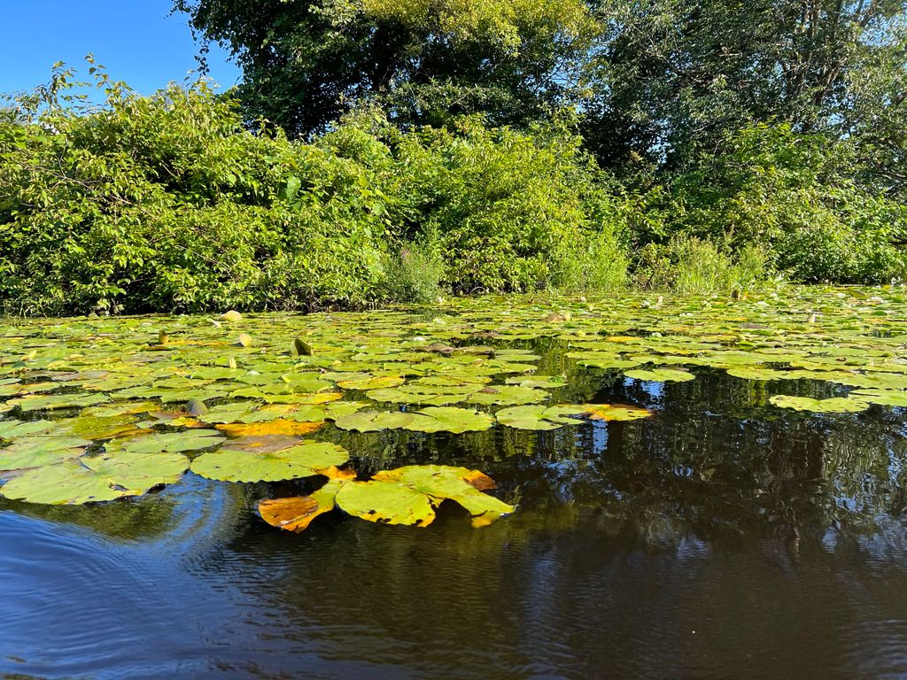 Boating-in-Boston-at-Nahanton-Park