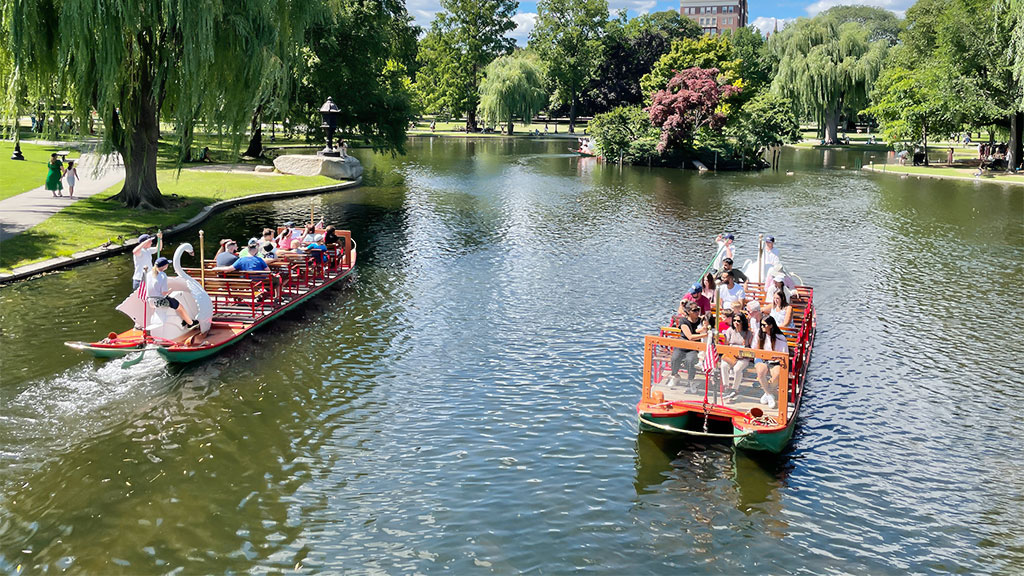 Boston Public Garden: Iconic Swan Boats and Scenic Views
