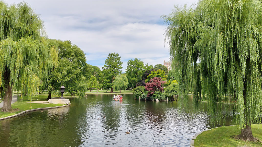 Boston Public Garden