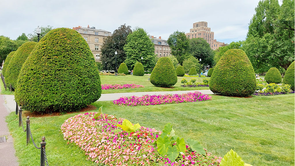 Boston Public Gardens